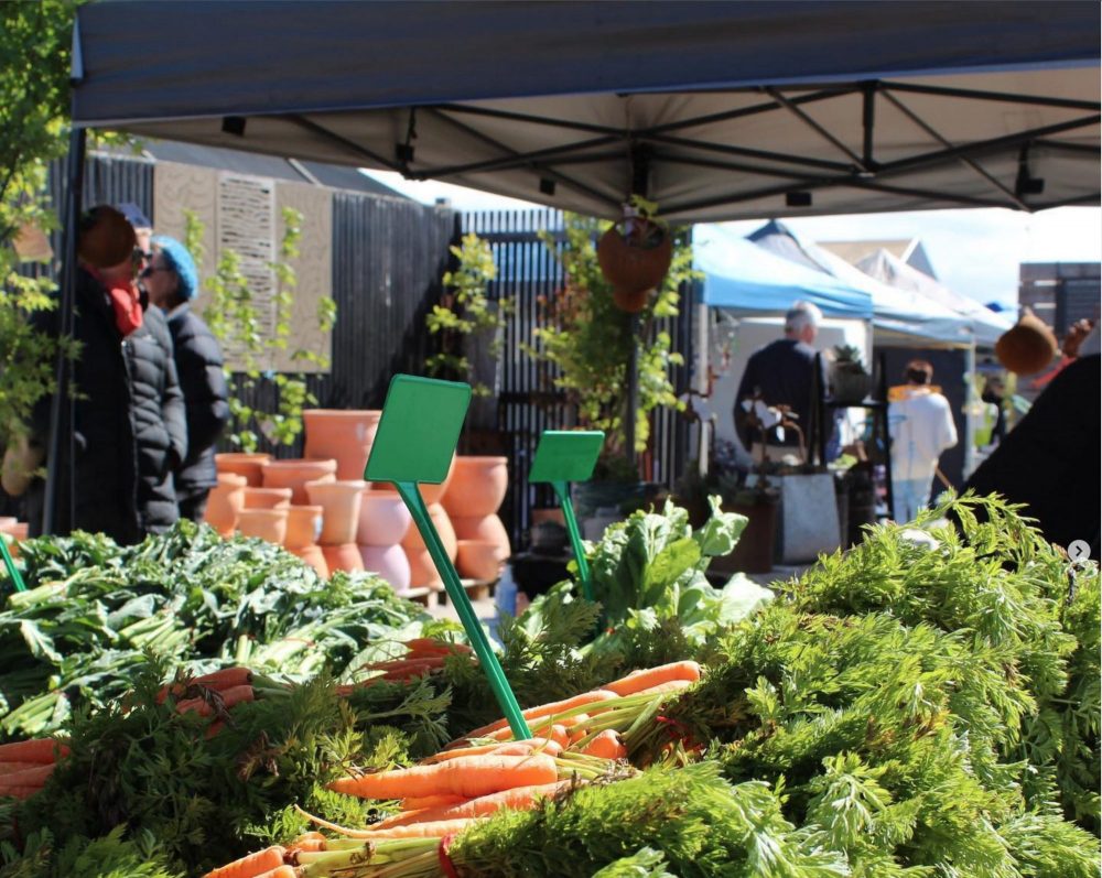 Market Days | Harmony Garden Centre Retail Strategy